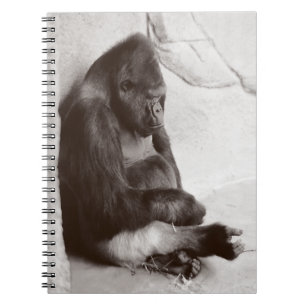 Caderno Espiral Napping Gorilla Photo