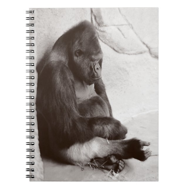 Caderno Espiral Napping Gorilla Photo (Frente)