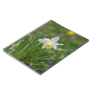 Caderno Espiral Narciso