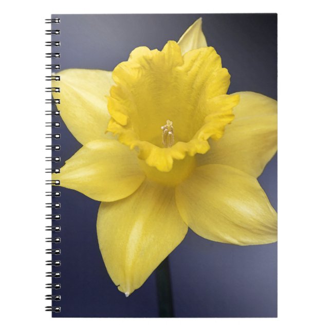 Caderno Espiral Narciso Amarelo Flor Pintor aquoso Floral (Frente)