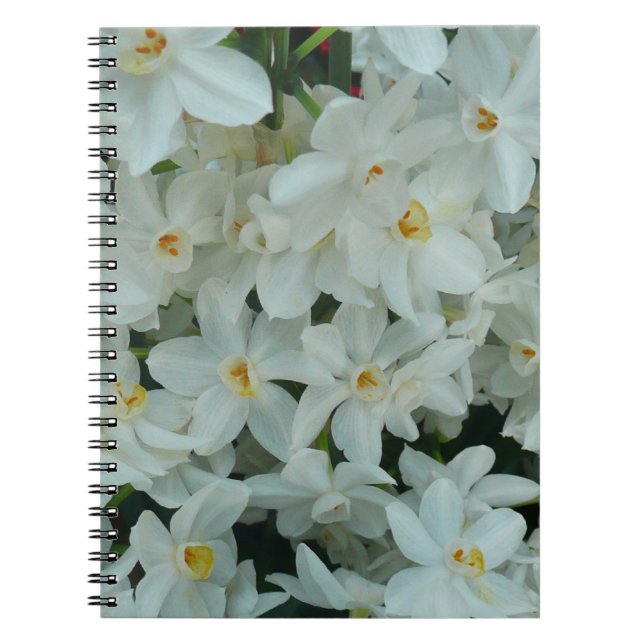 Caderno Espiral Narciso Branco Delicado de Paperwhite Flores (Frente)