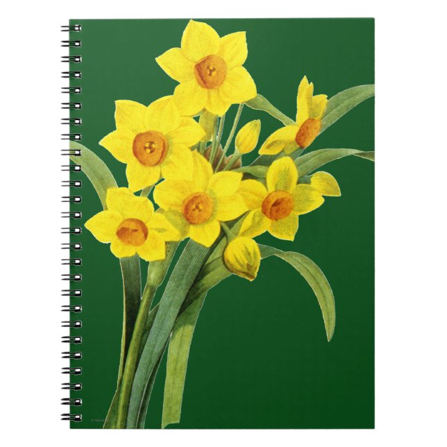 Caderno Espiral Narciso (N Tazetta) (Frente)