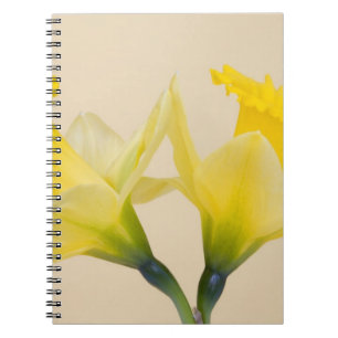 Caderno Espiral Narcisos amarelos