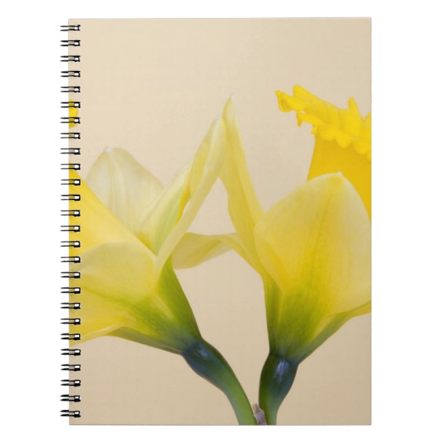 Caderno Espiral Narcisos amarelos (Frente)