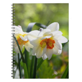 Caderno Espiral Narcisos delicados e fofos da primavera