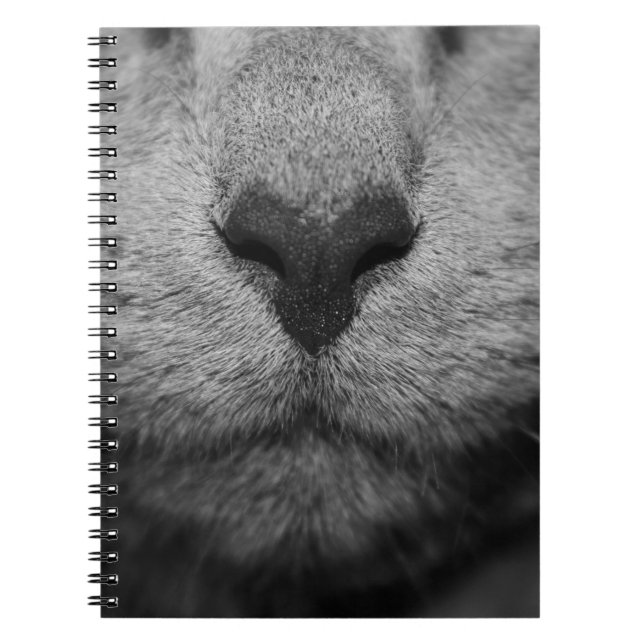 CADERNO ESPIRAL NARIZ DE GATO EM PRETO E BRANCO (Frente)
