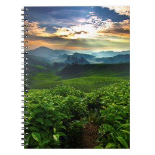 Caderno Espiral Nascer do sol sobre a fazenda do chá