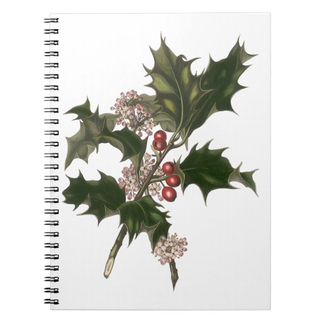 Caderno Espiral Natal Antigo, Planta de Azevinho Verde com Frutas (Frente)