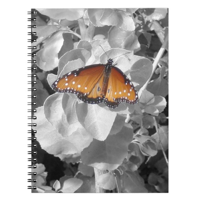 Caderno Espiral Nature Orange Monarch Butterfly Photo Black White (Frente)