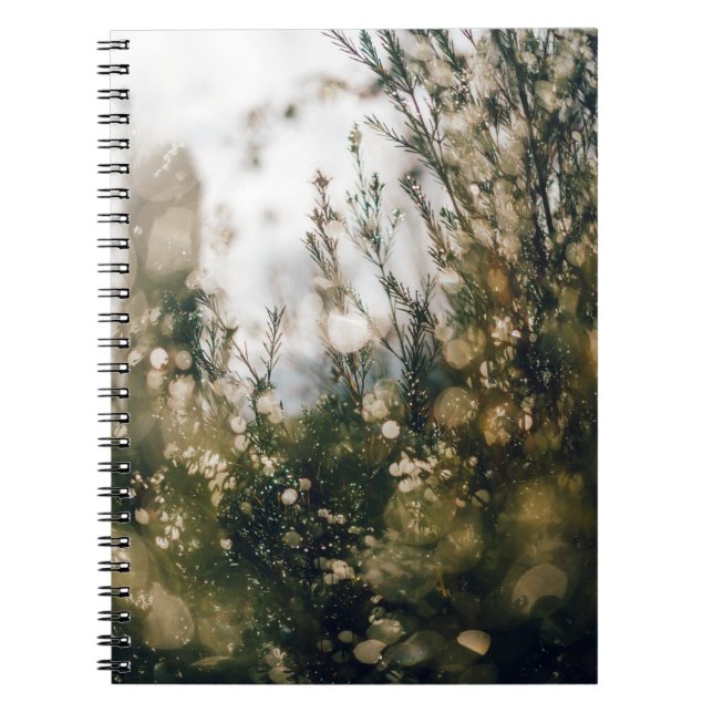 CADERNO ESPIRAL NATUREZA (Frente)