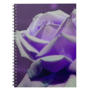 Caderno Espiral Natureza da flor do rosa do roxo