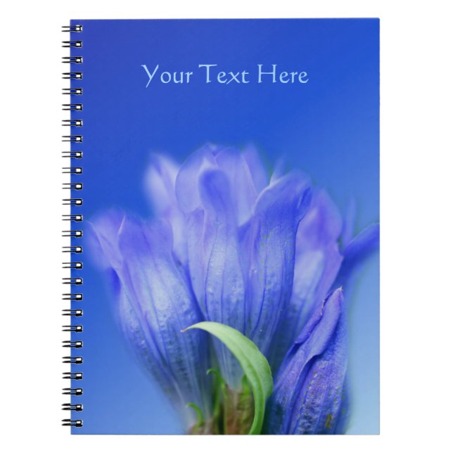 Caderno Espiral Natureza da Flor Gentil Azul (Frente)