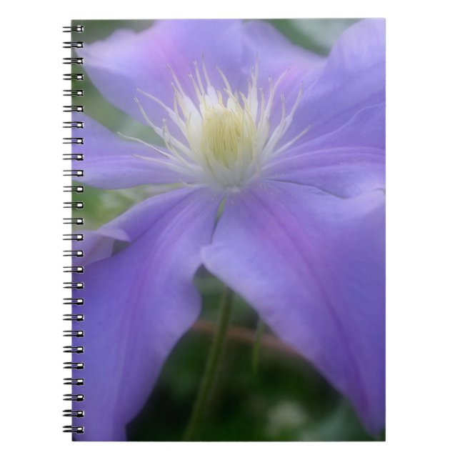 Caderno Espiral Natureza da Flor Puro Clematis (Frente)