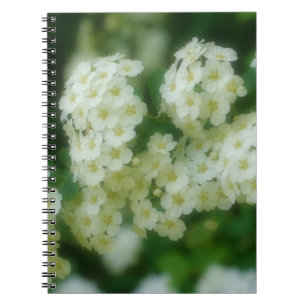 Caderno Espiral Natureza da Flor Rosas Brancos Selvagens