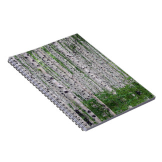 Caderno Espiral Natureza da Floresta de Birch