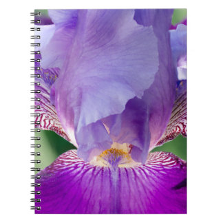 Caderno Espiral Natureza Iris Brilhante / Foto Floral / Botânica