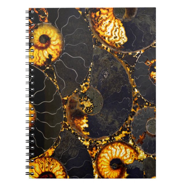 Caderno Espiral Nautilus ouro (Frente)