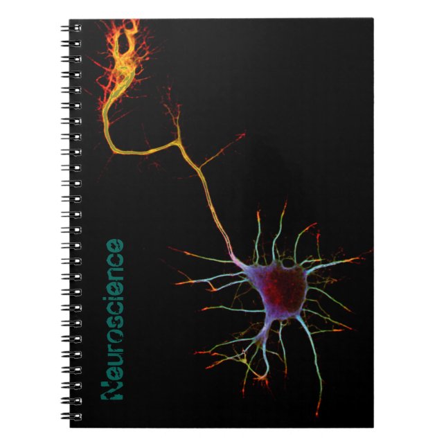 Caderno Espiral Neuroscience, neuron , science (Frente)