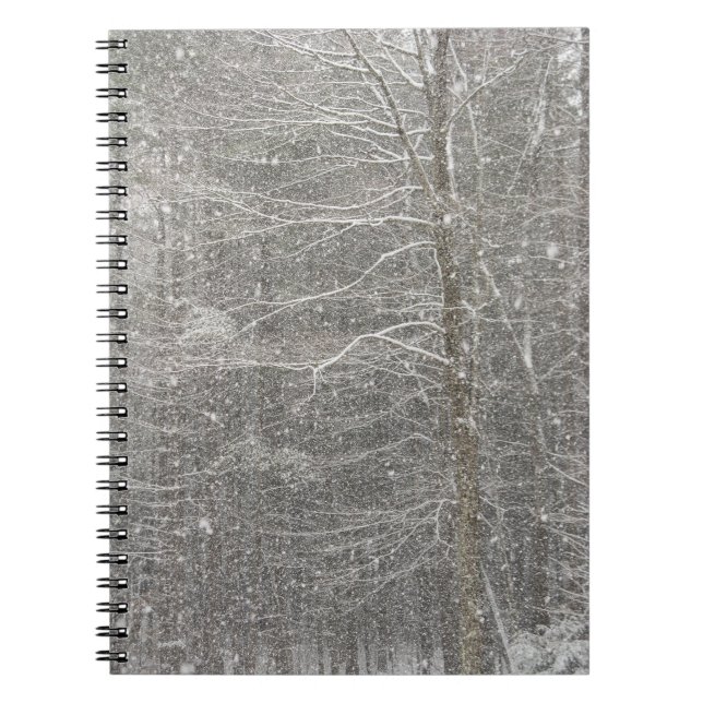 Caderno Espiral Neve em queda (Frente)