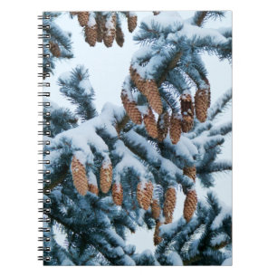 Caderno Espiral Neve no notebook Pines