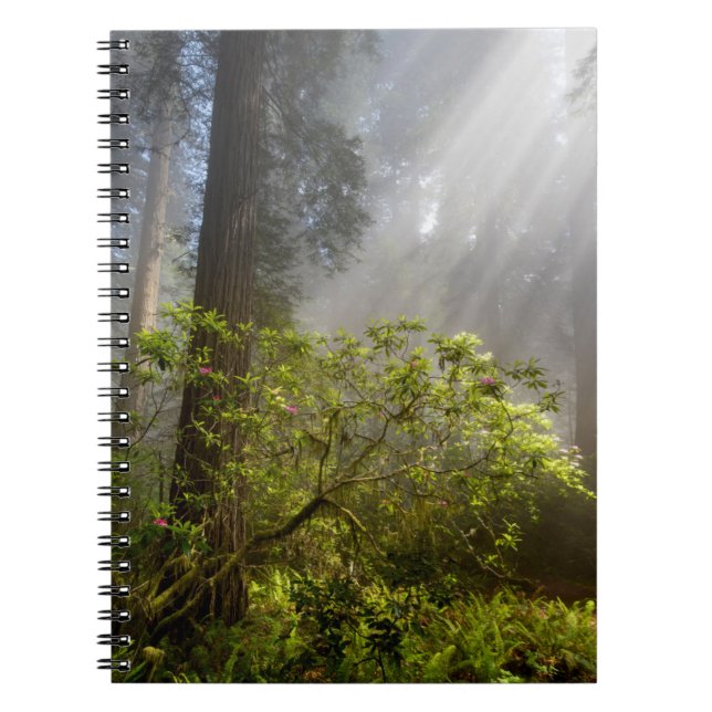 Caderno Espiral Névoa da Manhã em Rhododendron (Frente)