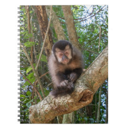 Caderno Espiral Nico Spiral Photo Notebook