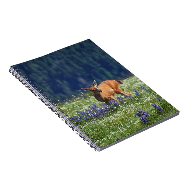 Caderno Espiral No campo (Lado Direito)