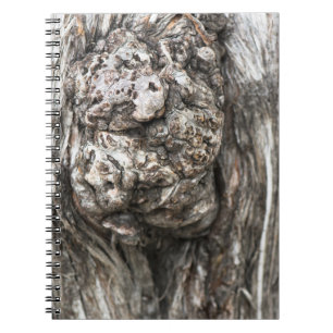 Caderno Espiral Nó de tronco de árvore