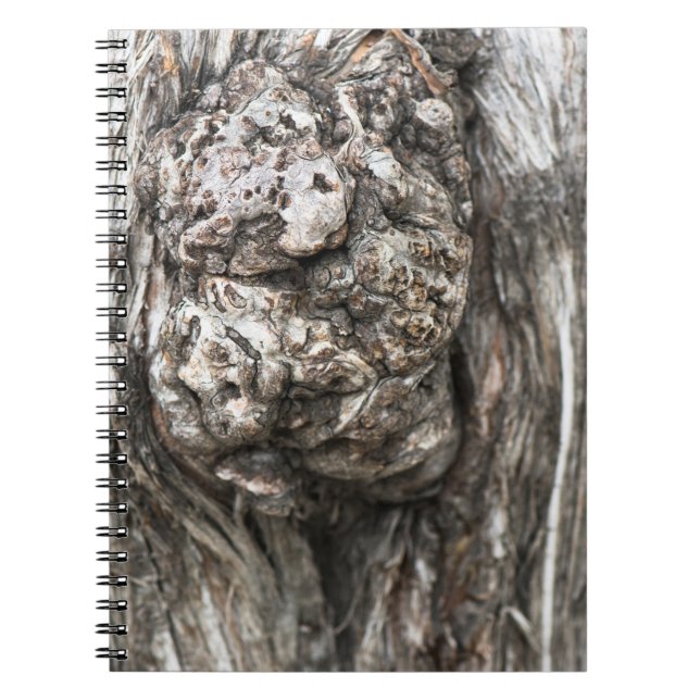 Caderno Espiral Nó de tronco de árvore (Frente)