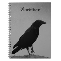 Noite com Corvidae