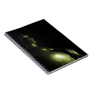 Caderno Espiral Noite de Buda
