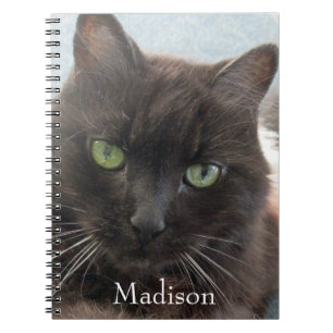 Caderno Espiral Nome Personalizado de Fotografia de Gato Preto Cin