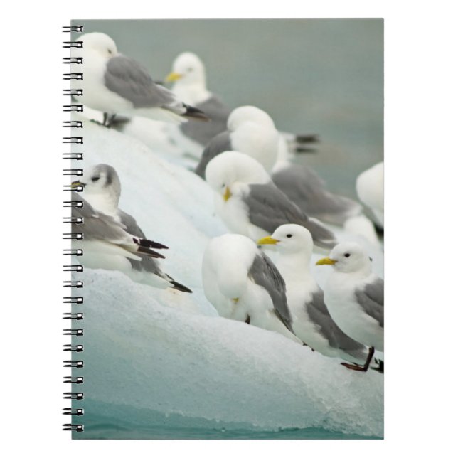 Caderno Espiral Noruega, Svalbard Archipelago, Spitsbergen (Frente)