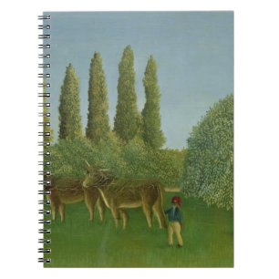 Caderno Espiral Nos campos, 1910
