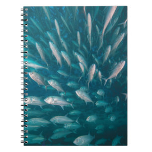 Caderno Espiral Nos jaques