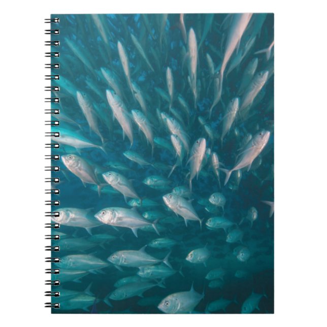 Caderno Espiral Nos jaques (Frente)