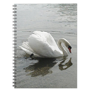 Caderno Espiral Nota: Cisne branco do livro, refletindo na água da