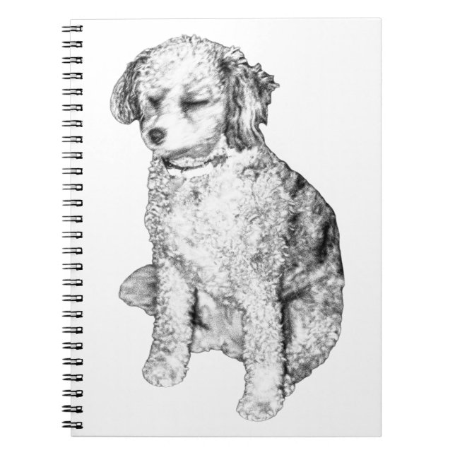 Caderno Espiral Nota de Paz, Sutil Tom (Frente)
