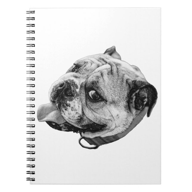 Caderno Espiral Notas Bulldog (Frente)