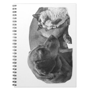 Caderno Espiral Notas com um Cozy Duo