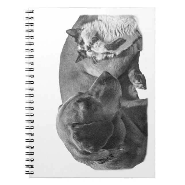 Caderno Espiral Notas com um Cozy Duo (Frente)