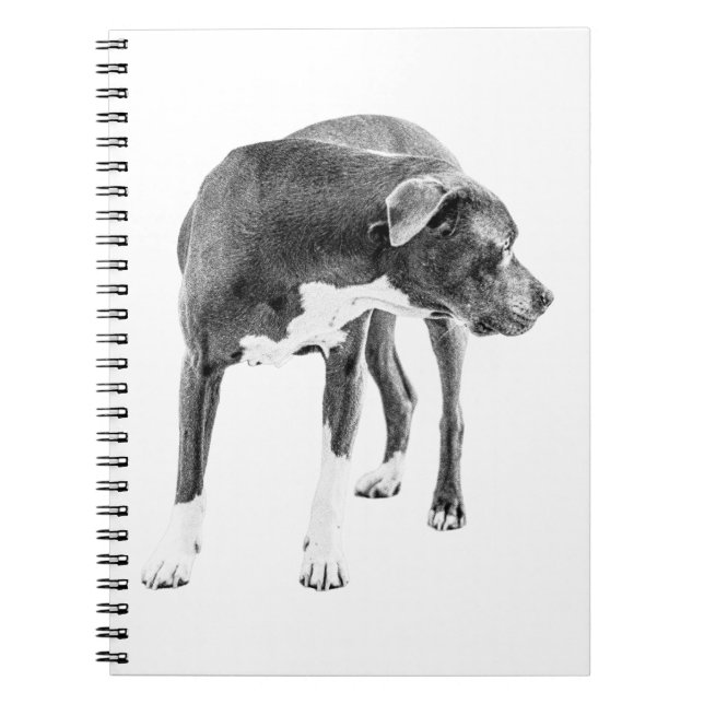 Caderno Espiral Notas da Pesquisa (Frente)