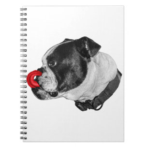 Caderno Espiral Notas de Acento Vermelho Bulldog