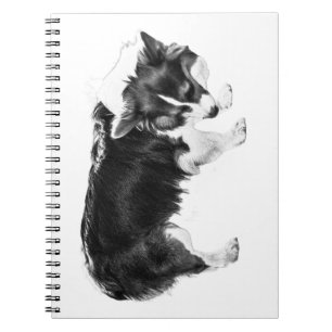 Caderno Espiral Notas de campo: Nariz de outono
