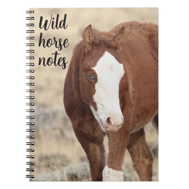 Caderno Espiral Notas de Cavalo Selvagem (Frente)