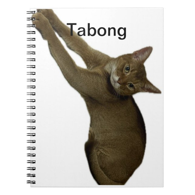 Caderno Espiral Notas de gato (Frente)