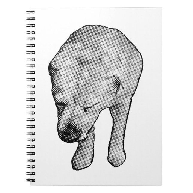 Caderno Espiral Notas de inverno com uso especial de laboratório (Frente)