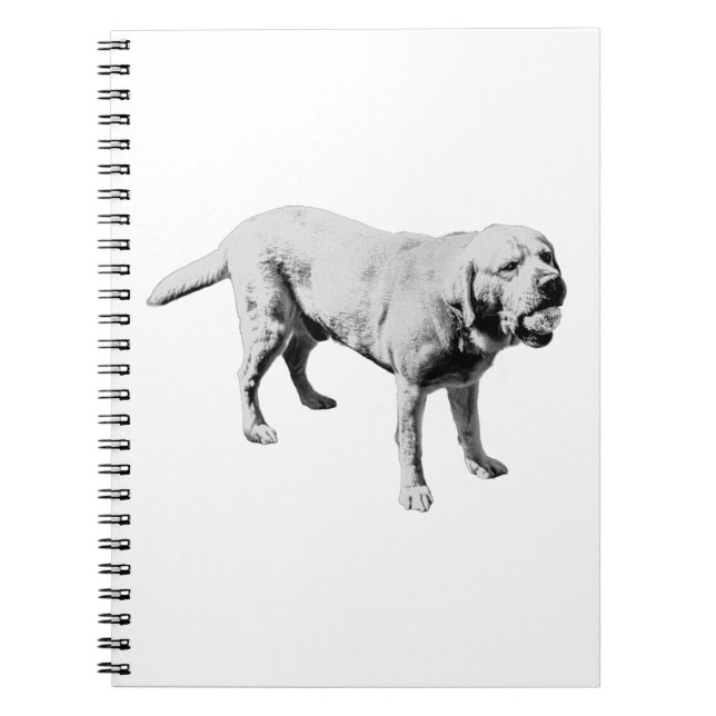 Caderno Espiral Notas de jogo (Frente)