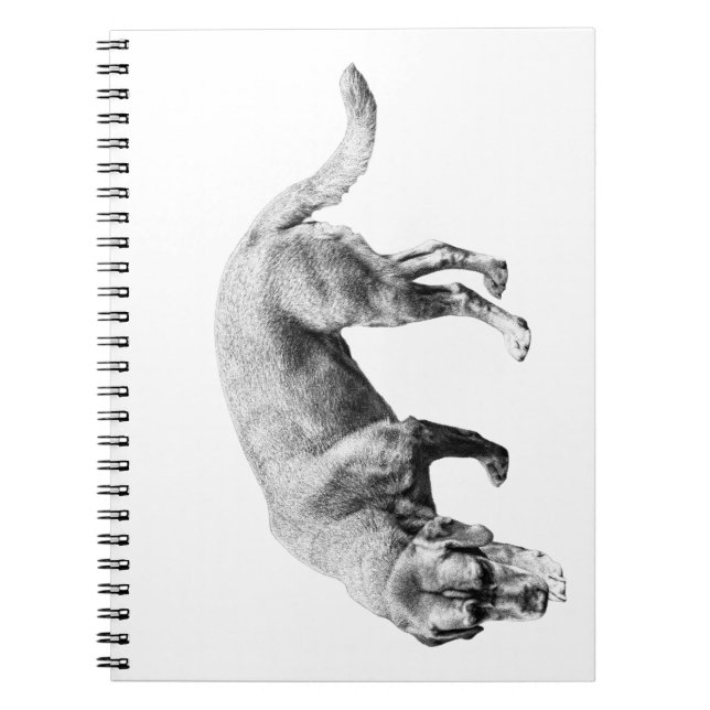 Caderno Espiral Notas de Trilha Suspensa (Frente)