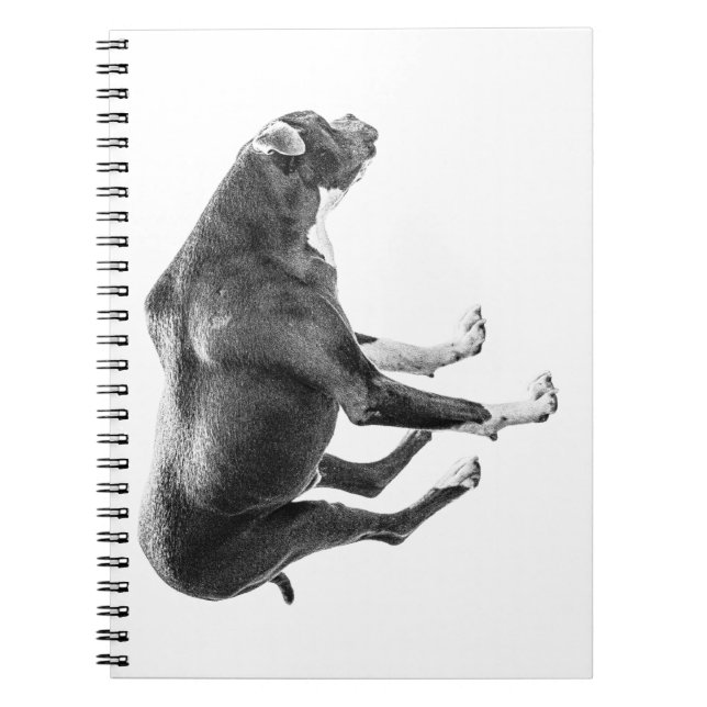 Caderno Espiral Notas do Autumn Watch (Frente)